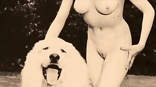 502 vintage porn videos